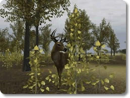 play deer hunter 4 free